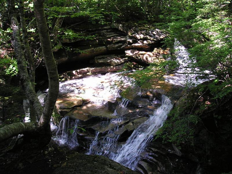 GooseEye (1).JPG - The trail follows along a brook for the first couple of miles. There's lots of pretty little cascades and pools for most of the way.